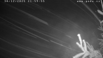 Ski klub Velké Meziříčí -...