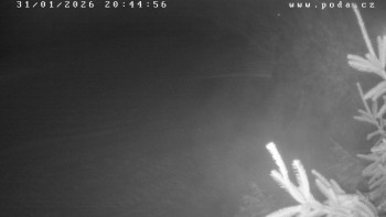 Ski klub Velké Meziříčí -...