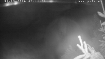 Ski klub Velké Meziříčí -...