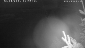 Ski klub Velké Meziříčí -...