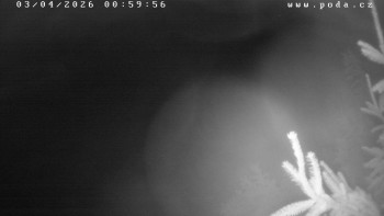 Ski klub Velké Meziříčí -...