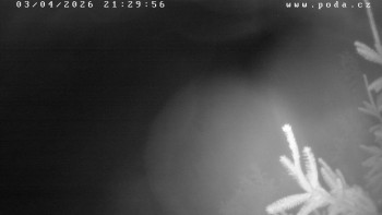 Ski klub Velké Meziříčí -...