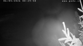 Ski klub Velké Meziříčí -...