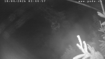 Ski klub Velké Meziříčí -...