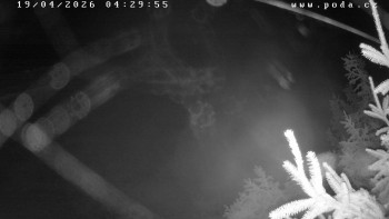 Ski klub Velké Meziříčí -...