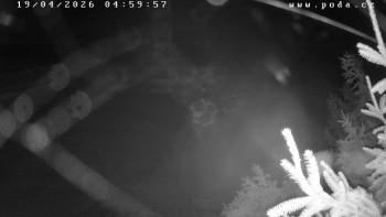 Ski klub Velké Meziříčí -...