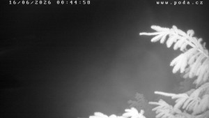 Ski klub Velké Meziříčí - Fajtův kopec - Sjezdovka - 16.6.2026 v 00:45 Ski klub Velké Meziříčí - Fajtův kopec - Sjezdovka - 16.6.2026 v 00:45