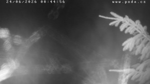 Ski Klub Velké Meziříčí – Wzgórze Fajta - Trasa narciarska - 24.6.2026 v 00:45 Ski Klub Velké Meziříčí – Wzgórze Fajta - Trasa narciarska - 24.6.2026 v 00:45