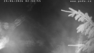 Ski Klub Velké Meziříčí – Wzgórze Fajta - Trasa narciarska - 24.6.2026 v 02:45 Ski Klub Velké Meziříčí – Wzgórze Fajta - Trasa narciarska - 24.6.2026 v 02:45