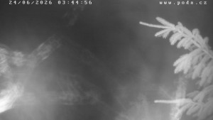 Ski Klub Velké Meziříčí – Wzgórze Fajta - Trasa narciarska - 24.6.2026 v 03:45 Ski Klub Velké Meziříčí – Wzgórze Fajta - Trasa narciarska - 24.6.2026 v 03:45