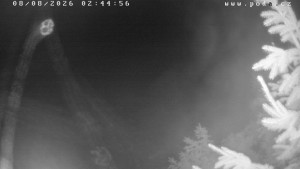 Ski Klub Velké Meziříčí – Wzgórze Fajta - Trasa narciarska - 8.8.2026 v 02:45 Ski Klub Velké Meziříčí – Wzgórze Fajta - Trasa narciarska - 8.8.2026 v 02:45