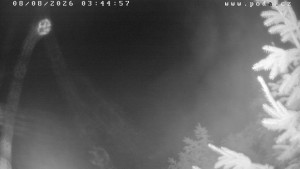 Ski Klub Velké Meziříčí – Wzgórze Fajta - Trasa narciarska - 8.8.2026 v 03:45 Ski Klub Velké Meziříčí – Wzgórze Fajta - Trasa narciarska - 8.8.2026 v 03:45