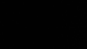 Vodní nádrž Orlík - Marina Orlík - 12.2.2026 v 01:46