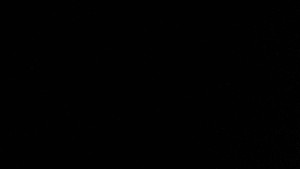 Vodní nádrž Orlík - Marina Orlík - 1.4.2026 v 03:31