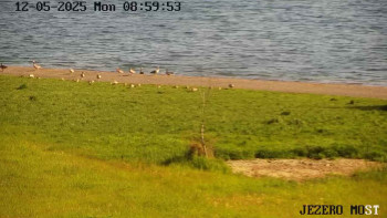 Snímek    12.5.2025 v 09:00