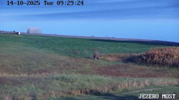 Snímek    14.10.2025 v 09:30