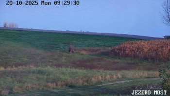 Snímek    20.10.2025 v 09:30