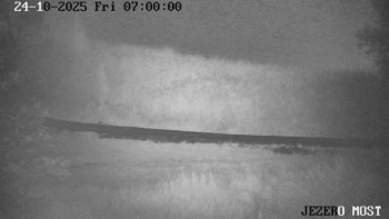 Snímek    24.10.2025 v 07:00