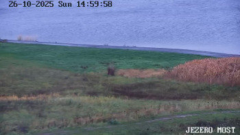 Snímek    26.10.2025 v 15:00