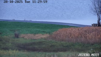 Snímek    28.10.2025 v 11:30
