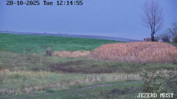 Snímek    28.10.2025 v 12:15