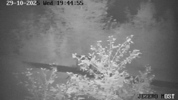 Snímek    29.10.2025 v 19:45