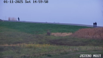 Snímek    1.11.2025 v 15:00