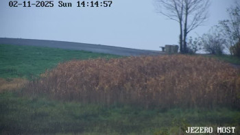 Snímek    2.11.2025 v 14:15