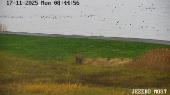 Snímek 17.11.2025 v 08:45