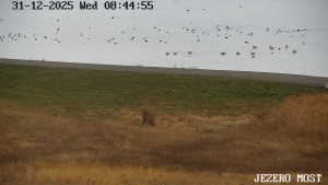 Město Most - Jezero Most - 31.12.2025 v 08:45