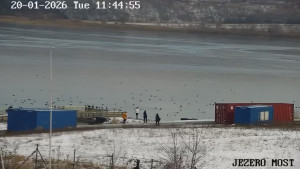 Město Most - Jezero Most - 20.1.2026 v 11:45