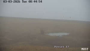 Město Most - Jezero Most - 3.3.2026 v 08:45 Město Most - Jezero Most - 3.3.2026 v 08:45