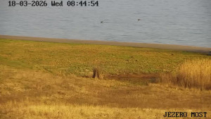 Město Most - Jezero Most - 18.3.2026 v 08:45