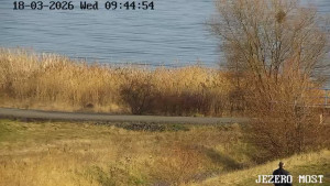Město Most - Jezero Most - 18.3.2026 v 09:45