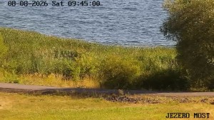 Miasto Most - Mostsee - 8.8.2026 v 09:45 Miasto Most - Mostsee - 8.8.2026 v 09:45