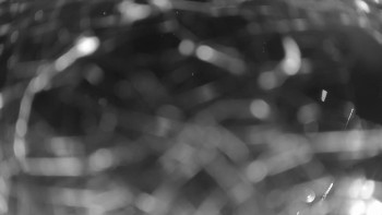 Snímek    11.9.2025 v 21:00