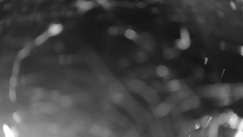Snímek    11.9.2025 v 23:00