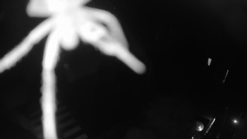 Snímek    13.9.2025 v 04:00
