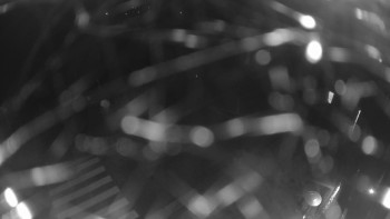 Snímek    17.9.2025 v 03:00