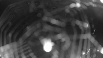 Snímek    17.9.2025 v 20:00