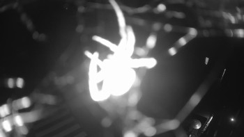 Snímek    17.9.2025 v 21:00