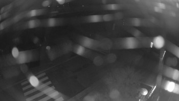 Snímek    19.9.2025 v 05:00