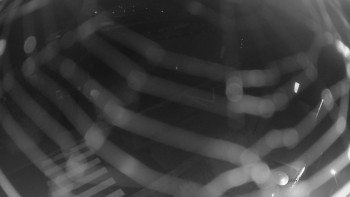 Snímek    30.9.2025 v 06:00