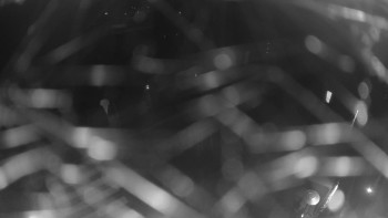 Snímek    13.10.2025 v 22:00