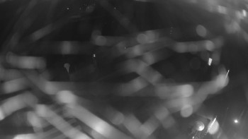 Snímek    14.10.2025 v 00:00