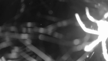 Snímek    15.10.2025 v 06:00
