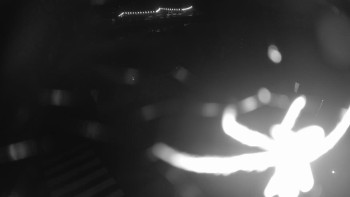 Snímek    18.10.2025 v 04:00