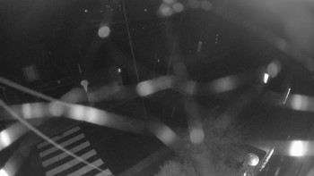 Snímek    24.10.2025 v 03:00