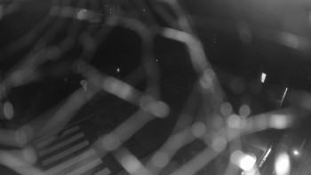 Snímek    27.10.2025 v 05:00