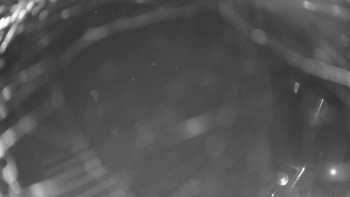 Snímek 6.11.2025 v 06:00